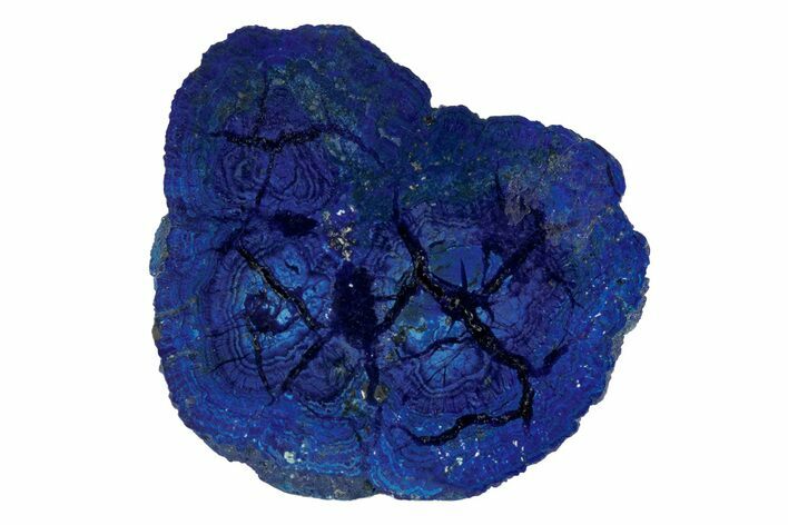 Vivid Blue, Cut/Polished Azurite Nodule Slice - Siberia #209519